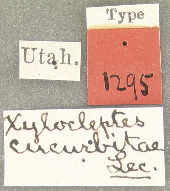 Media type: image;   Entomology 1295 Aspect: labels